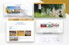 Dự Án Tập đoàn Thắng Lợi